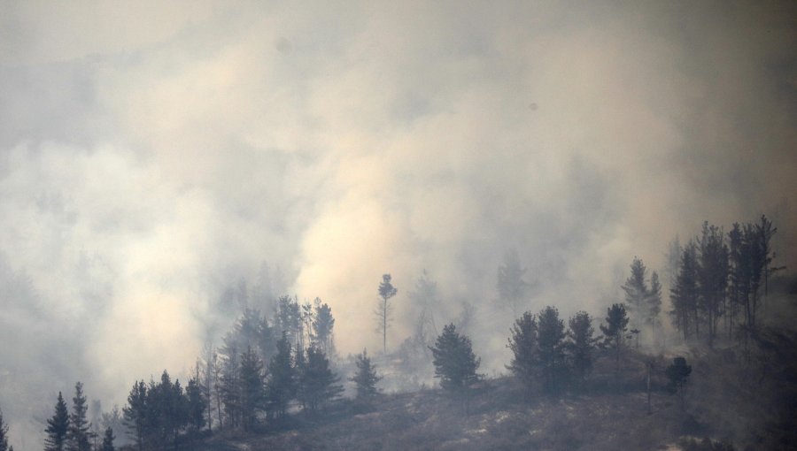 Conaf rectifica información sobre incendio forestal en La Ligua: siniestro ha consumido 25 hectáreas