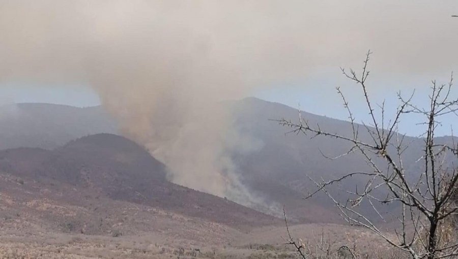 60 hectáreas ha consumido incendio forestal en La Ligua: siniestro se mantiene activo con intensidad de media a baja