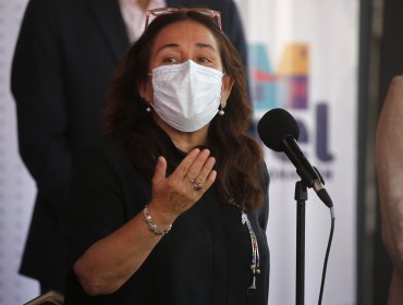 Ministra de Salud confirmó que se prolongará la alerta sanitaria por la pandemia del Covid-19