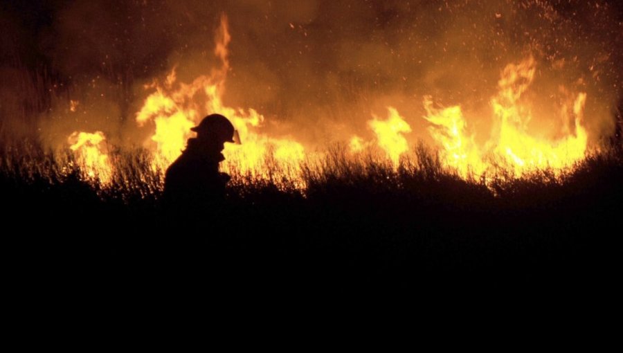 Incendio forestal consume 5 mil metros cuadrados de pastizales en La Cruz: fuego se acercó a zona residencial