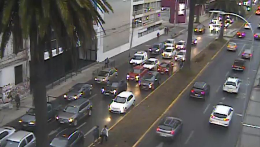Mujer fue atropellada en transitada arteria del plan de Valparaíso: reportan alta congestión hacia Viña del Mar