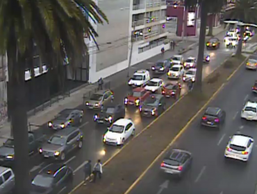 Mujer fue atropellada en transitada arteria del plan de Valparaíso: reportan alta congestión hacia Viña del Mar