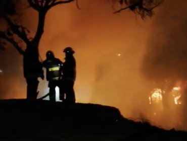 Incendio forestal amenazó con propagarse a zona residencial de Villa Alemana: hay un detenido por iniciar el fuego