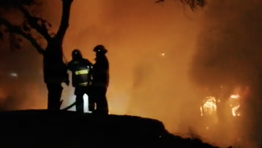 Incendio forestal amenazó con propagarse a zona residencial de Villa Alemana: hay un detenido por iniciar el fuego
