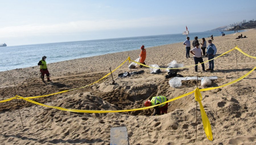 "Se cae definitivamente el proyecto en Las Salinas": Ponen lápida a iniciativa tras hallazgo de hidrocarburos en playa de Viña del Mar