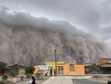 Suspenden las clases en Diego de Almagro, El Salvador e Inca de Oro para evaluar daños que dejó tormenta de arena