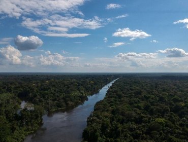 La historia de los dos niños brasileños que sobrevivieron tras cuatro semanas perdidos en la selva amazónica