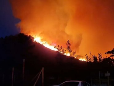 10 hectáreas ha consumido el incendio forestal en Laguna Verde: se mantiene la Alerta Roja por amenaza a viviendas