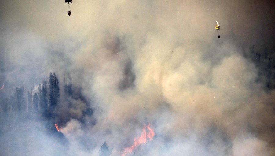 Declaran Alerta Roja para Valparaíso por incendio forestal en Laguna Verde: siniestro se encuentra cercano a sectores habitados