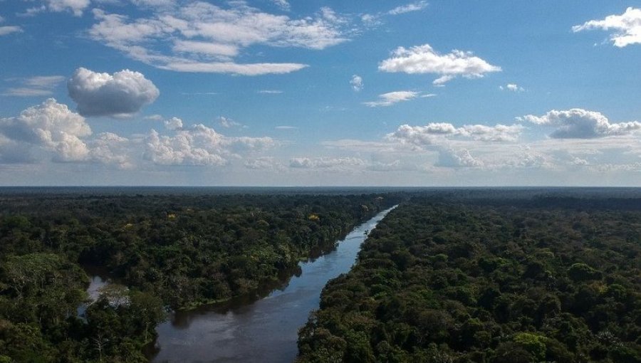 La historia de los dos niños brasileños que sobrevivieron tras cuatro semanas perdidos en la selva amazónica