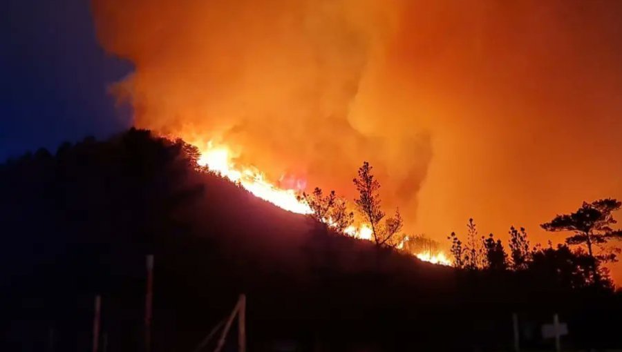 10 hectáreas ha consumido el incendio forestal en Laguna Verde: se mantiene la Alerta Roja por amenaza a viviendas