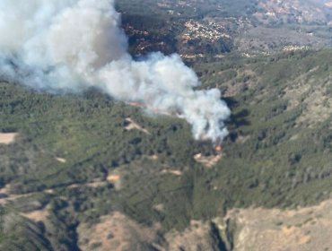 Siniestro que tiene con Alerta Roja a Valparaíso ya consume 80 hectáreas: "Se mantiene activo con intensidad alta en la zona de la cola del incendio"