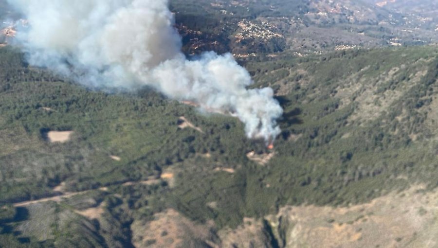 Siniestro que tiene con Alerta Roja a Valparaíso ya consume 80 hectáreas: "Se mantiene activo con intensidad alta en la zona de la cola del incendio"