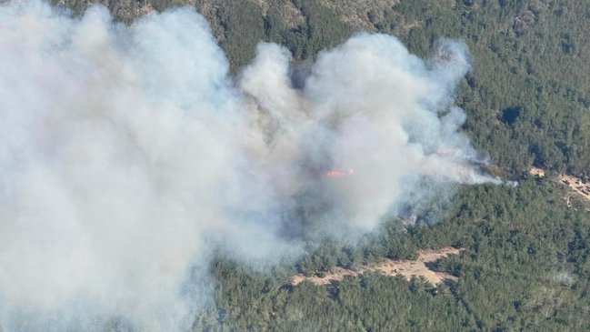 Incendio en Valparaíso ya consume 95 hectáreas y deja un bombero lesionado mientras sigue activo