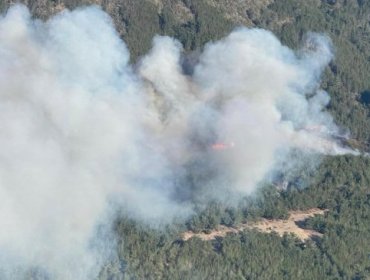 Incendio en Valparaíso ya consume 95 hectáreas y deja un bombero lesionado mientras sigue activo