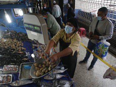 Tras dos semanas levantan prohibición de pesca de marisco en Puerto Montt