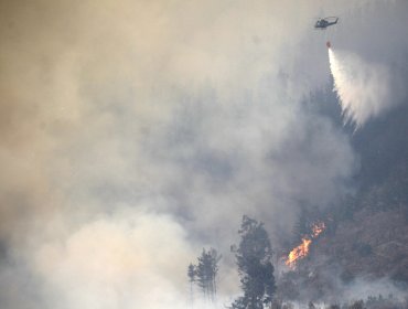 Declaran Alerta Roja para Constitución por incendio forestal que ha consumido 100 hectáreas