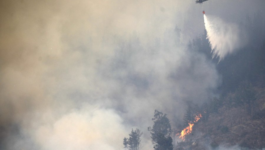 Declaran Alerta Roja para Constitución por incendio forestal que ha consumido 100 hectáreas