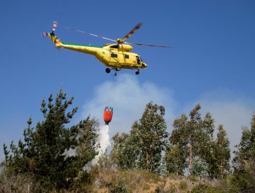 Cancelan la Alerta Amarilla para Valparaíso tras control del incendio forestal en Laguna Verde