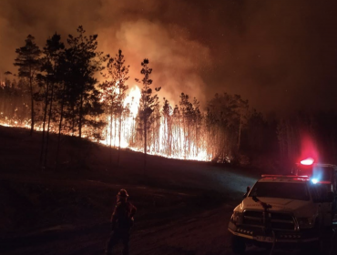 Las complejidades detectadas por Conaf para controlar incendio forestal en Laguna Verde