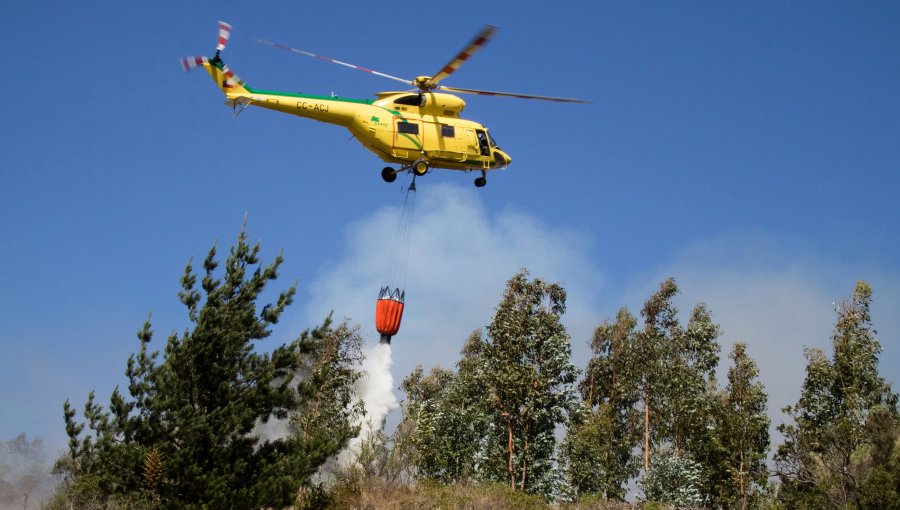 Cancelan la Alerta Amarilla para Valparaíso tras control del incendio forestal en Laguna Verde