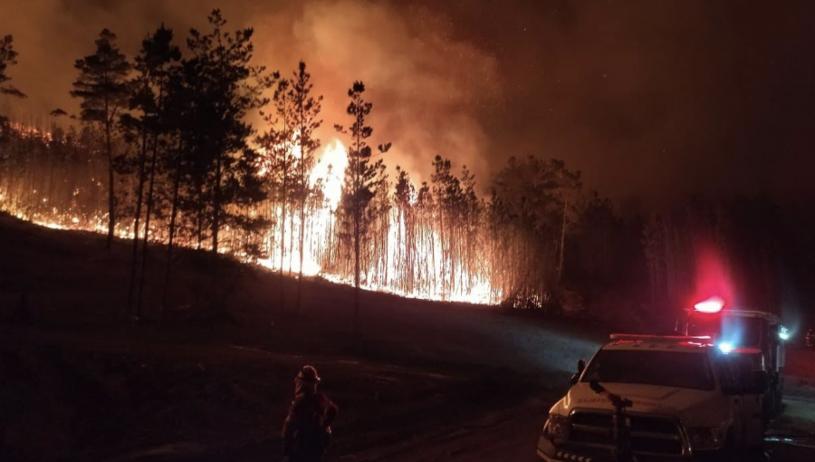 Las complejidades detectadas por Conaf para controlar incendio forestal en Laguna Verde
