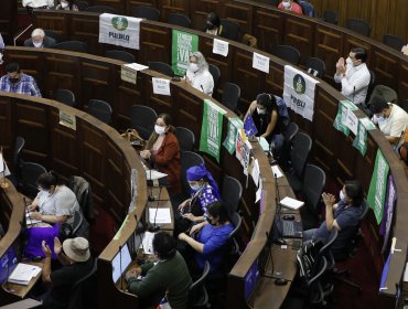 Segundo informe sobre libertad de expresión fue despachado al pleno de la Convención