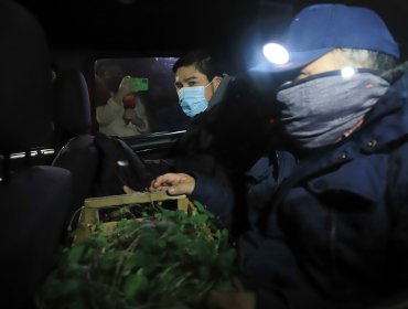 Después de 9 años del brutal asesinato de los “Luchsinger-Mackay” dos de los condenados "salen en libertad en salida dominical"