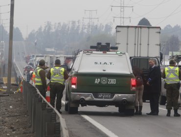 Mujer muere atropellada en la ruta 5 Norte de La Ligua: chofer fue detenido tras darse a la fuga