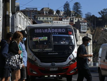 Licitación del transporte público bajo la lupa de Contraloría: 1 de cada 4 microbuses no sale a la calle en el Gran Valparaíso