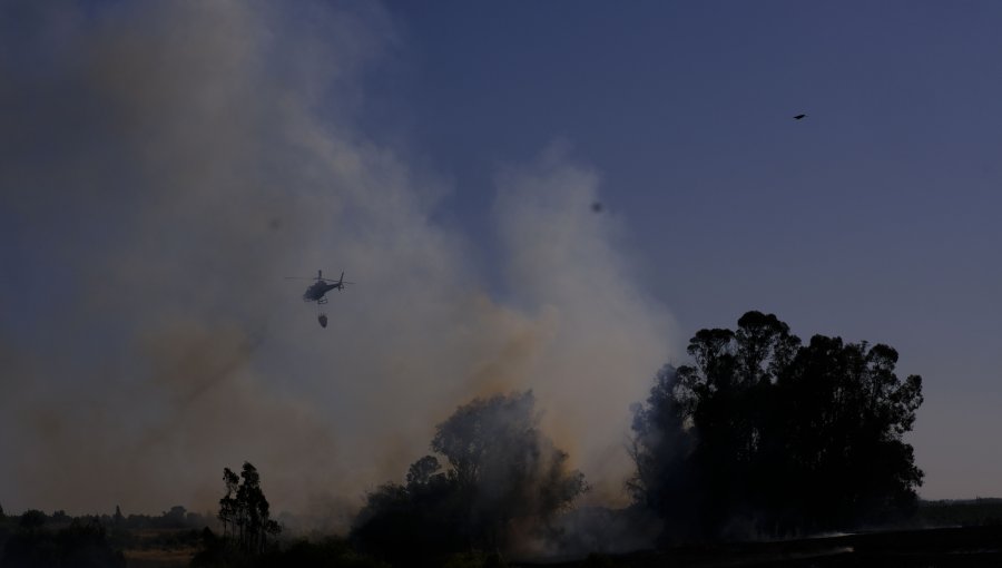 Incendio forestal en Laguna Verde afecta al menos a 15 viviendas: se mantiene la Alerta Roja para Valparaíso