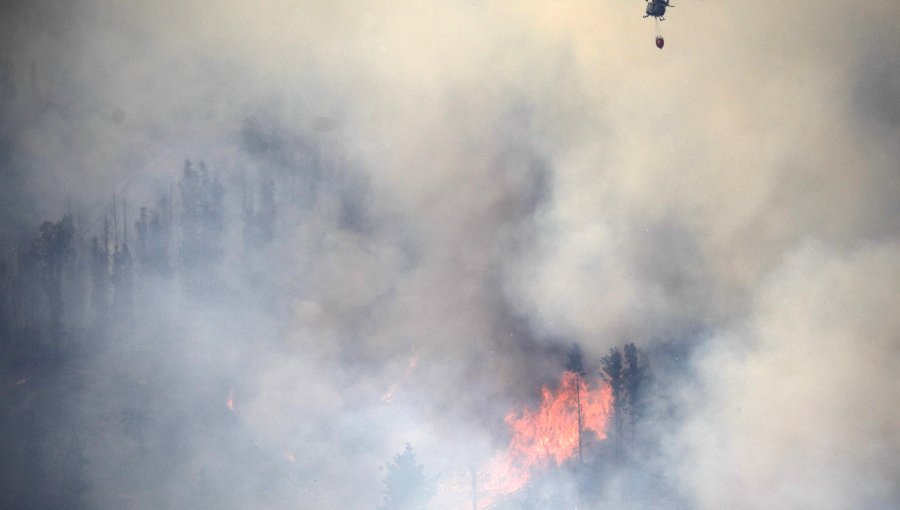 Onemi activó la mensajería SAE y solicitó evacuar sectores de Laguna Verde por incendio forestal