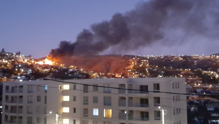 Nueva emergencia sacude a Valparaíso: cinco viviendas ha afectado incendio en el cerro San Roque