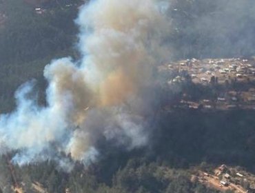 Declaran Alerta Roja para Valparaíso por incendio forestal en Laguna Verde cercano a sectores habitados