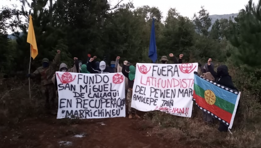 Se profundiza conflicto en el sur: Pehuenches se toman terrenos y propietarios afirman que cuidarán sus tierras “hasta cuando nuestra vida esté en riesgo”