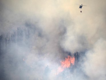 Onemi activó la mensajería SAE y solicitó evacuar sectores de Laguna Verde por incendio forestal