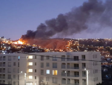 Nueva emergencia sacude a Valparaíso: cinco viviendas ha afectado incendio en el cerro San Roque