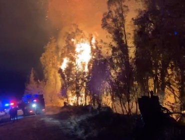 Declaran Alerta Roja para Romeral por incendio forestal cercano a sectores poblados