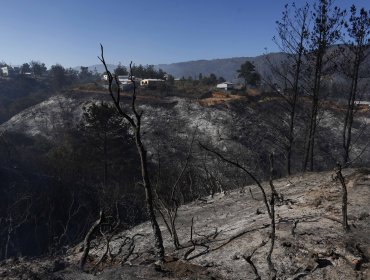 27 viviendas con daños y 56,3 hectáreas consumidas deja incendio forestal en sector Laguna Verde de Valparaíso