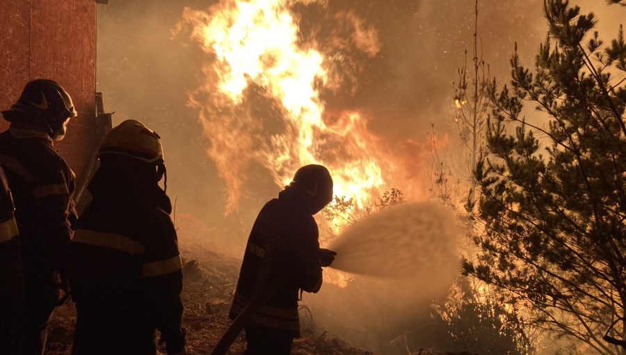 40 hectáreas y al menos 35 viviendas ha consumido incendio forestal en Laguna Verde: se mantiene la Alerta Roja en Valparaíso