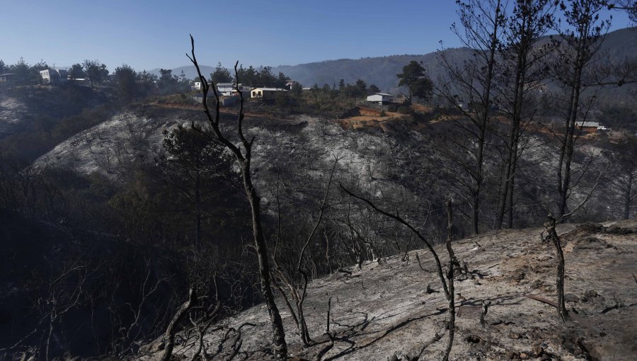 27 viviendas con daños y 56,3 hectáreas consumidas deja incendio forestal en sector Laguna Verde de Valparaíso