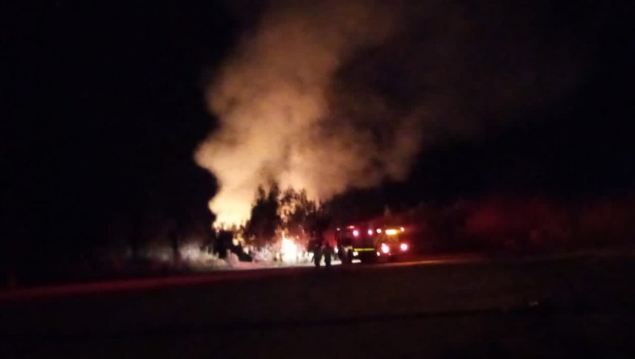 Bomberos combaten incendio forestal en camino la Pólvora altura cruce San Roque en Valparaíso