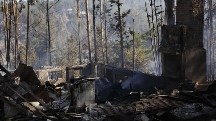 Incendio forestal en Laguna Verde ha consumido 29 viviendas y 60 hectáreas: se mantiene la Alerta Roja para Valparaíso