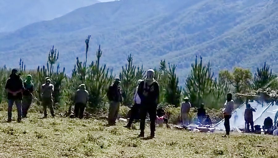 "No tenemos dónde ir": Familia Wild anuncia que desalojará su fundo tomado por pehuenches armados en Alto Biobío