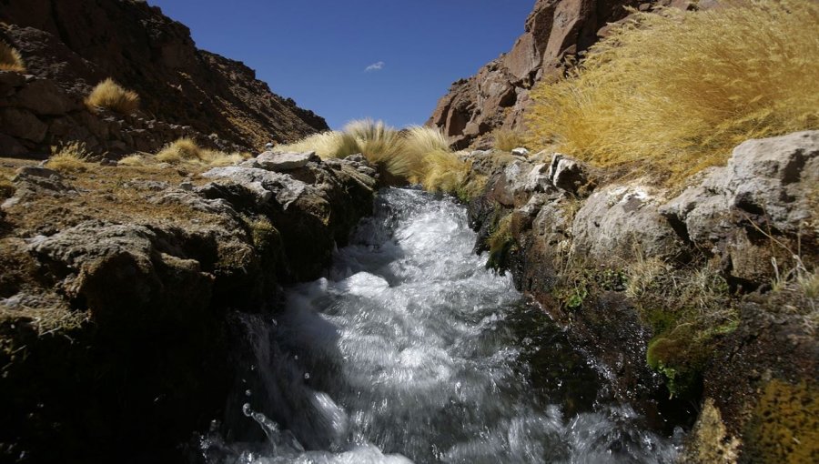 Comienzan en La Haya los alegatos orales del juicio entre Chile y Bolivia por usos de las aguas del río Silala