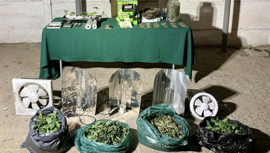 Operativo de Carabineros permite incautar 5 kilos de marihuana en San Antonio