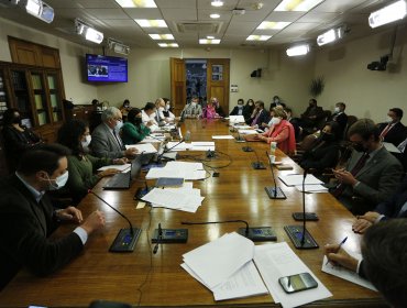 Comisión de Constitución de la Cámara aprueba fusionar proyectos de retiro de fondos e informe pasa a Sala