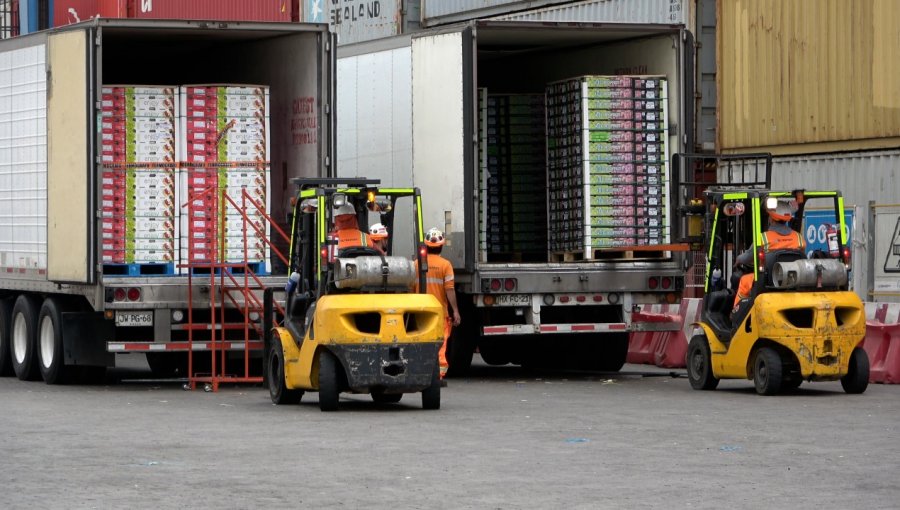 Más de 15 mil contendedores de fruta se han movilizado en TPS en febrero y marzo