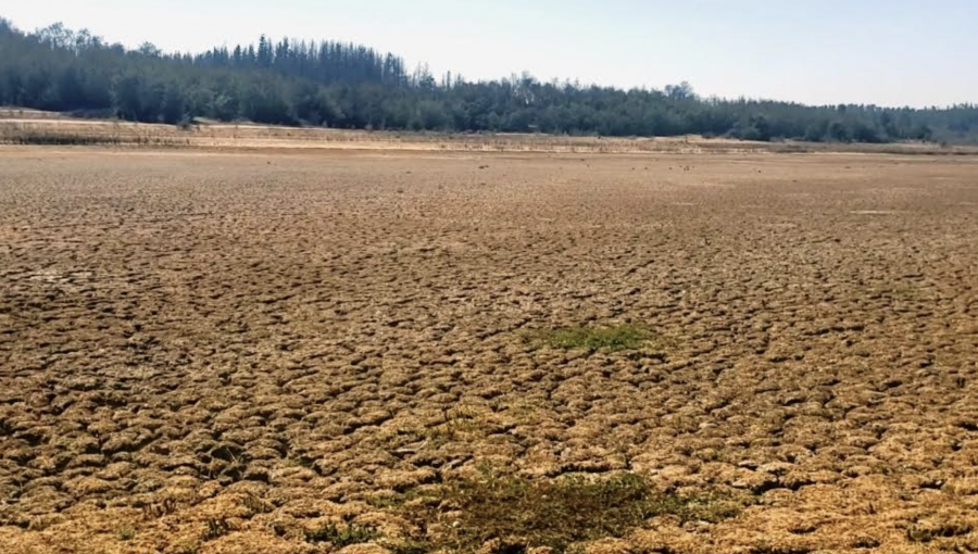 Crisis hídrica en la región de Valparaíso: Agua acumulada en el lago Peñuelas alcanza sólo el 0,01% de su capacidad