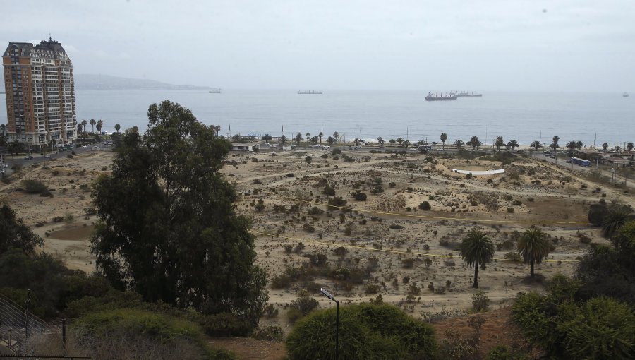 Inmobiliaria tras proyecto en Las Salinas y estudio que confirma hidrocarburos en la playa: "No representa riesgo para las personas"